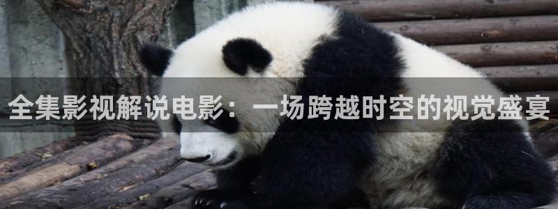 1樱桃视频：全集影视解说电影：一场跨越时空的视觉盛宴
