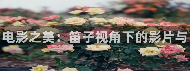 樱桃 视频 成人