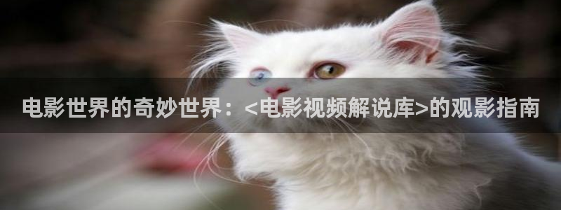 樱桃小视频首页