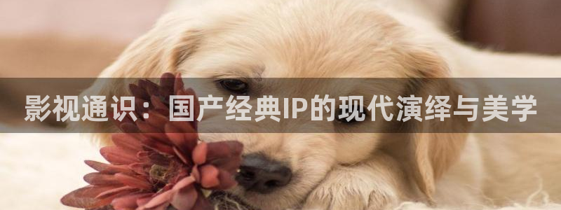 樱桃视频app下载免费安装