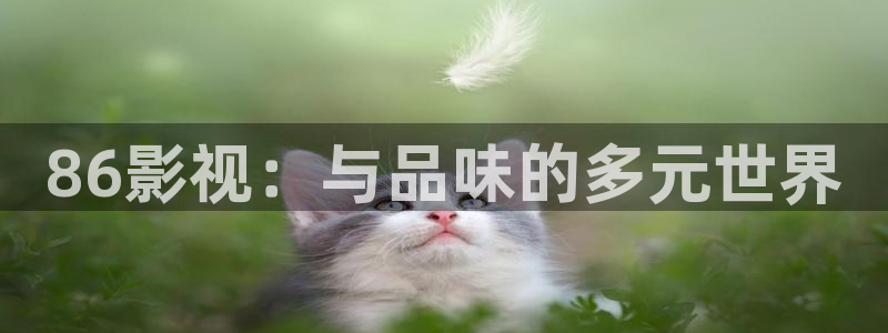 樱桃琥珀电视剧全集