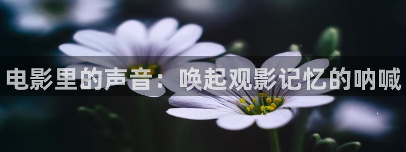 樱桃视频樱桃小丸子