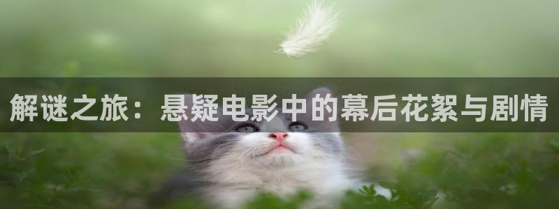樱桃视频手机版